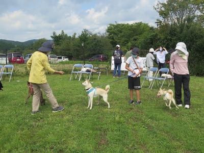 譲渡犬の同窓会